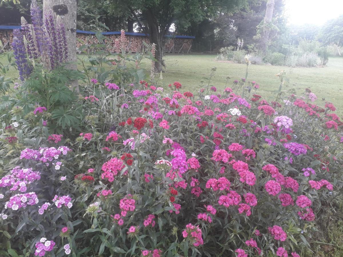 B&B Buddleja Saint-Hilaire-les-Places 外观 照片