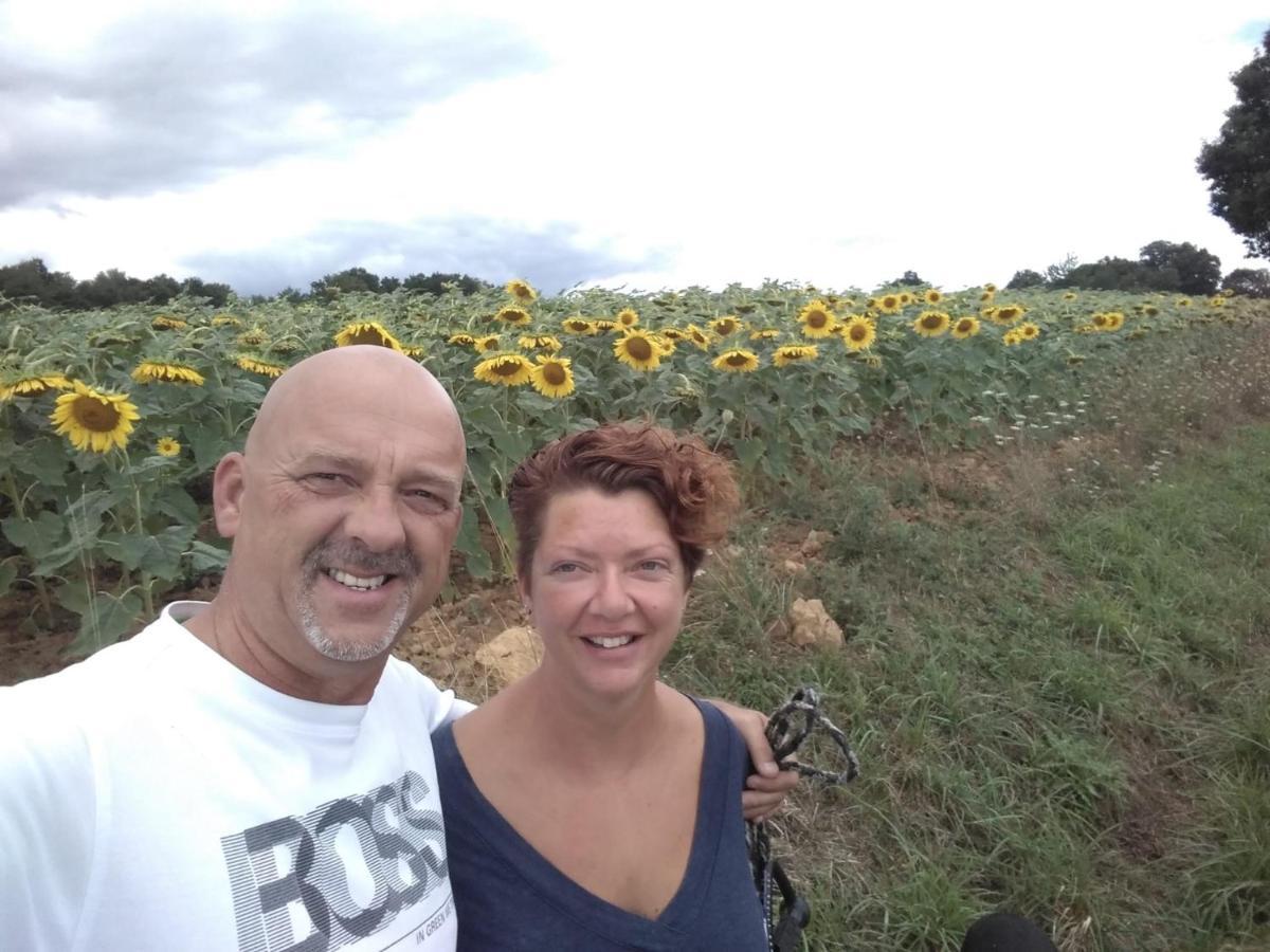 B&B Buddleja Saint-Hilaire-les-Places 外观 照片